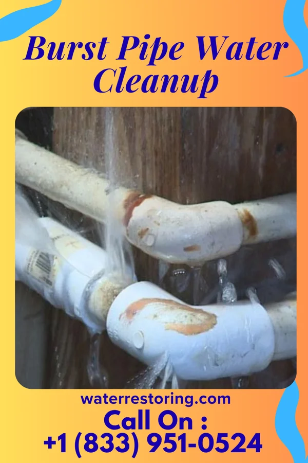 Burst Pipe Water Cleanup in North Zanesville, OH