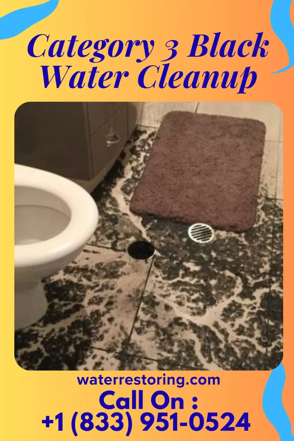 Category 3 Black Water Cleanup in North Zanesville, OH