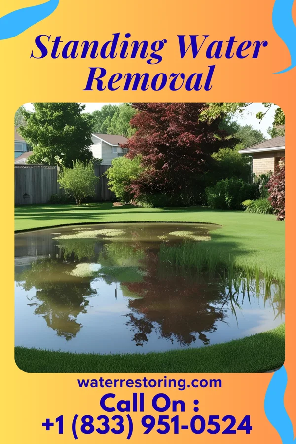 Standing Water Removal in North Zanesville, OH